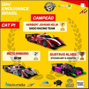 Leia mais sobre o artigo 44ª COPA GAV – ENDURANCE P1 e GT4 – Encerrada